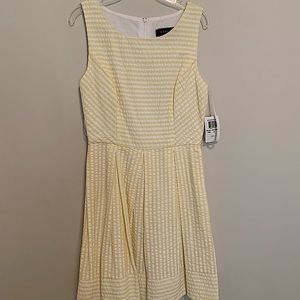 Seersucker Striped Dress